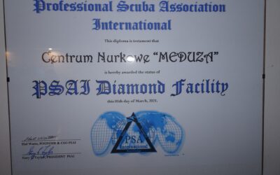 PSAI DIAMOND FACILITY